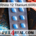 Rhino 12 Titanium 6000 viagra3